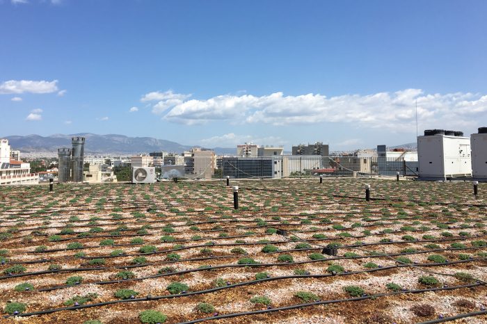 Green roof in a fund management company